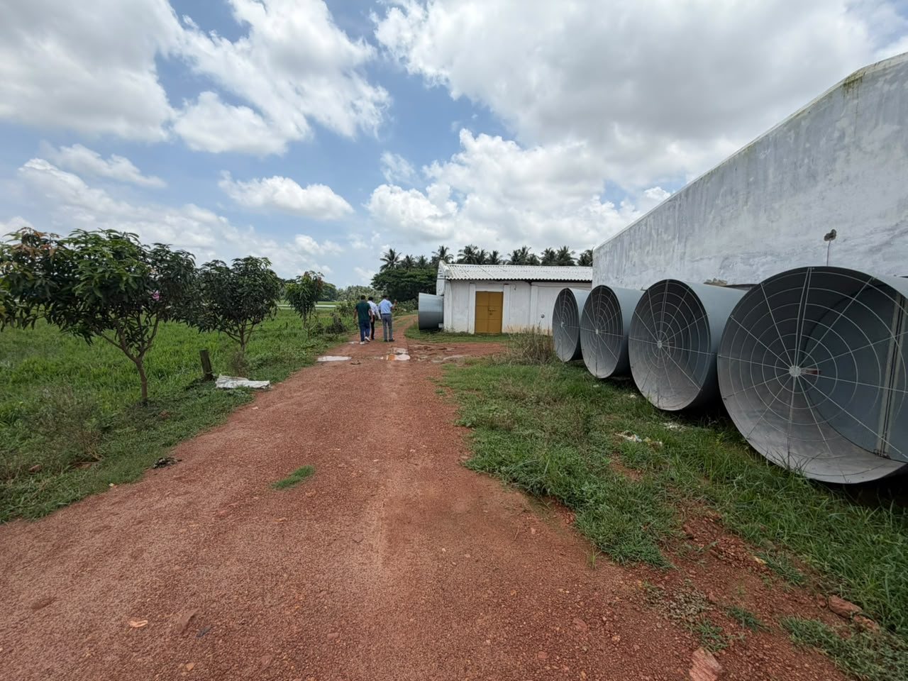 Farm exterior — fan bank along the wall