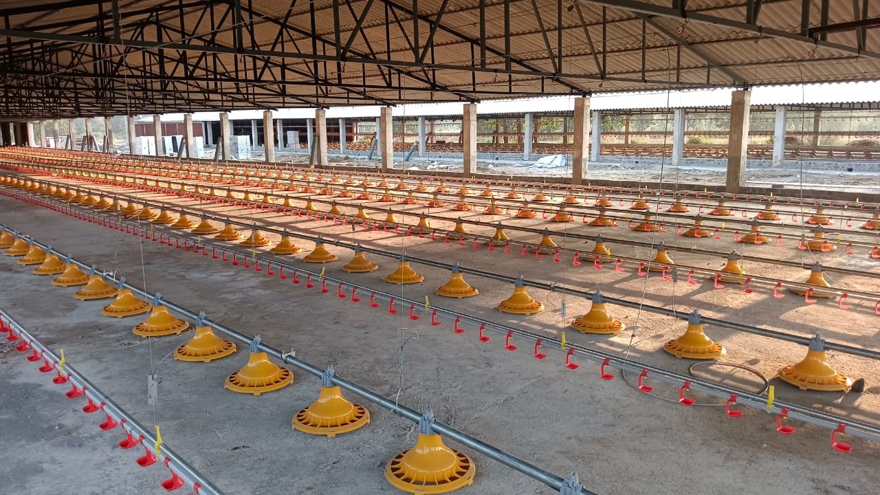 Feed and water lines across the floor