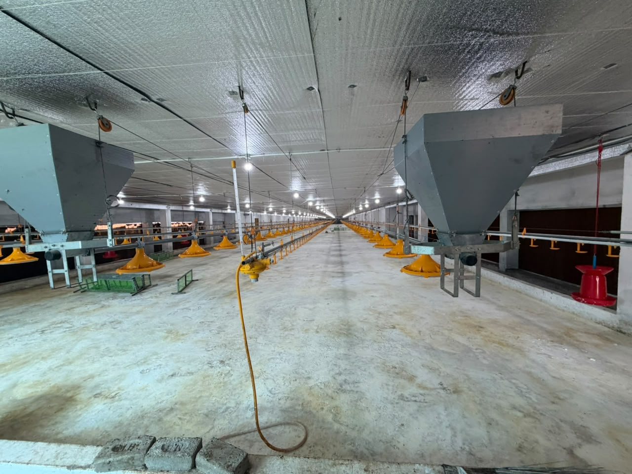 Hoppers feeding the pan lines