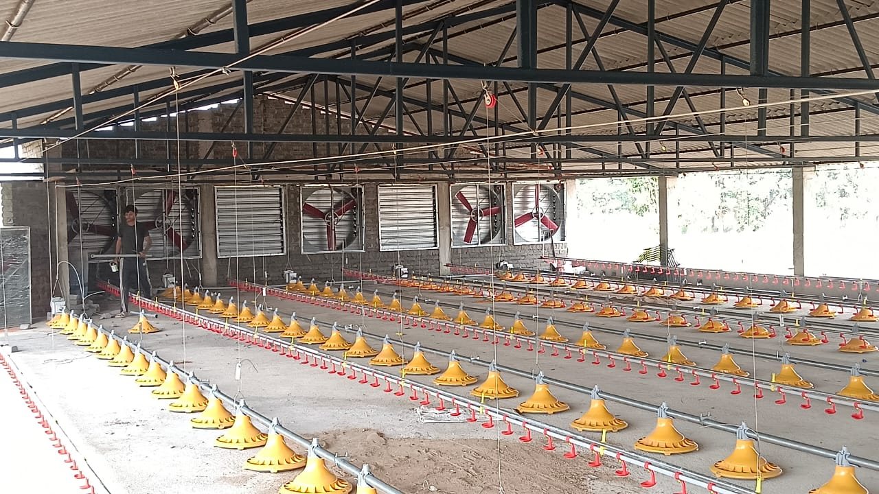 Feeding and drinking lines installed